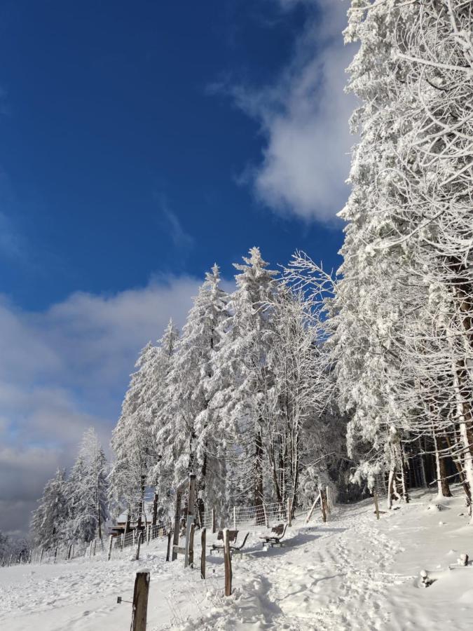 Ferienwohnung Landsmann Winterberg Eksteriør billede